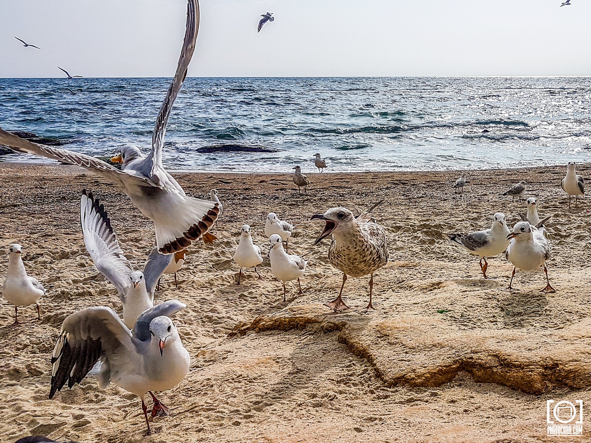 Trip to Odessa — photograph 6