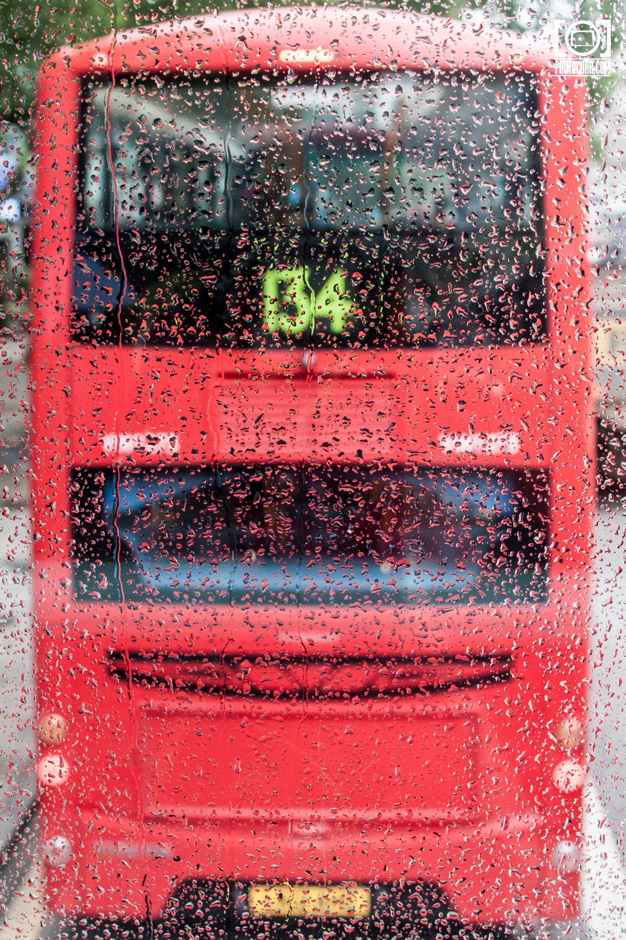 Trip to London — photograph 7