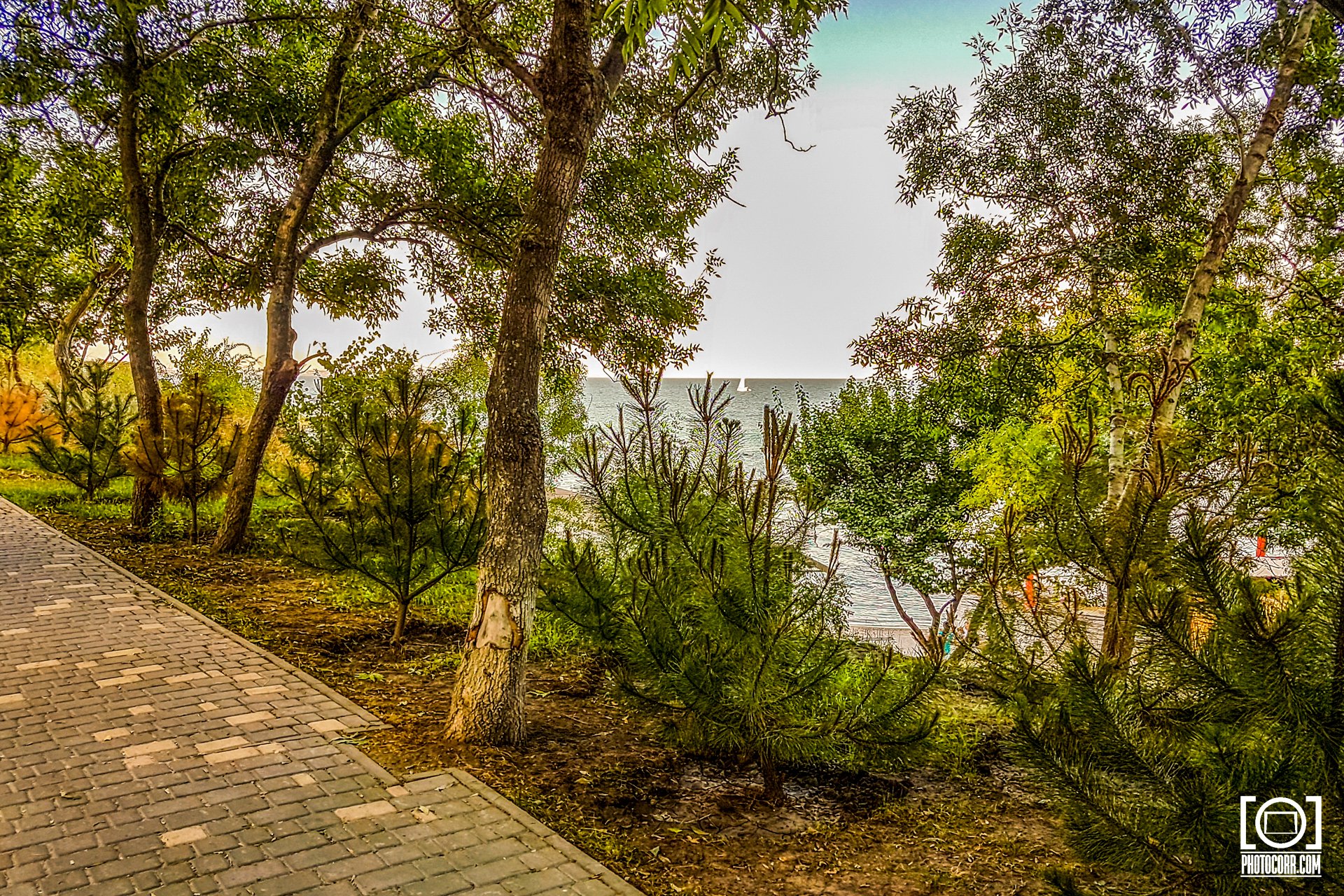 Trip to Odessa — photograph 4