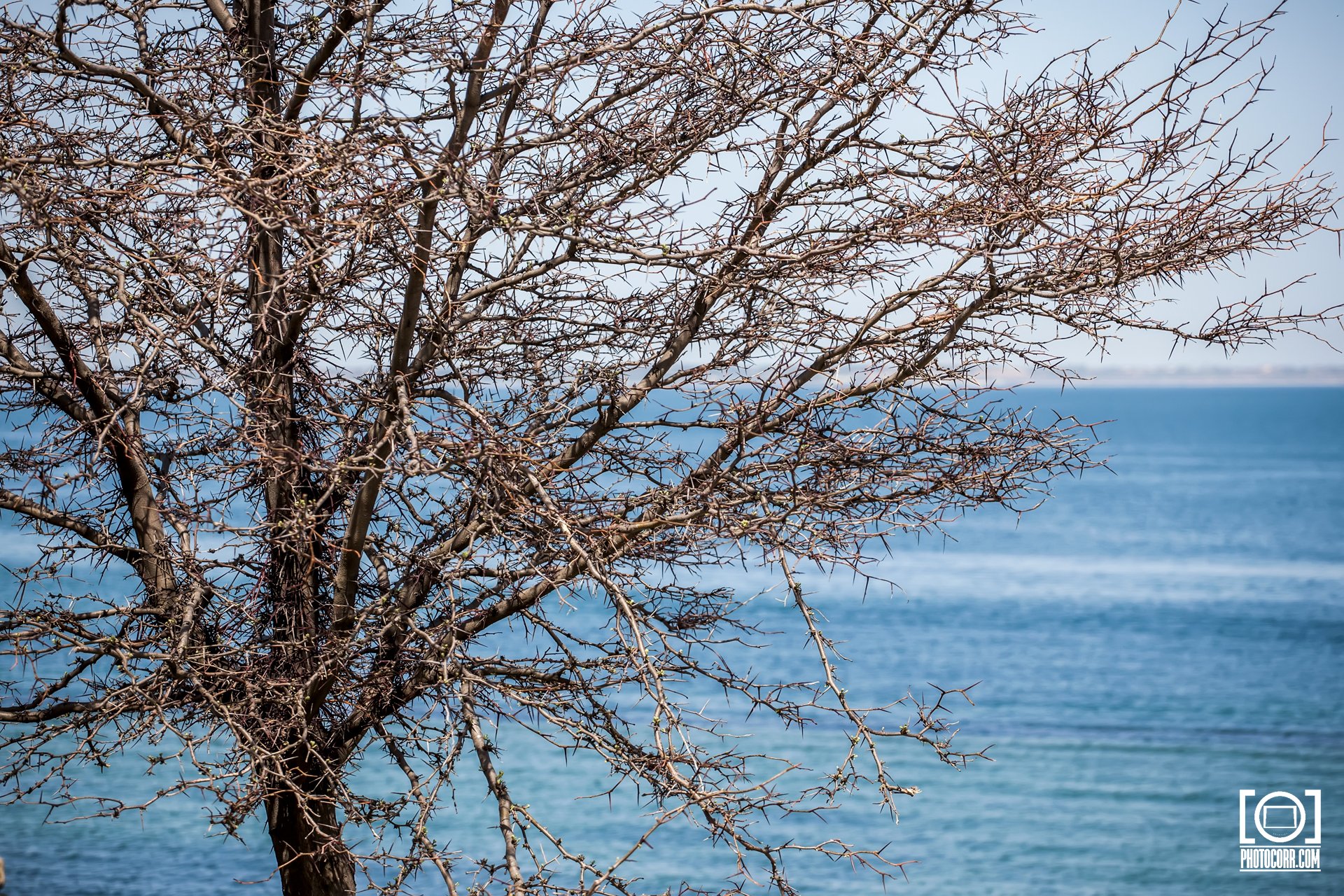Trip to Odessa — photograph 7