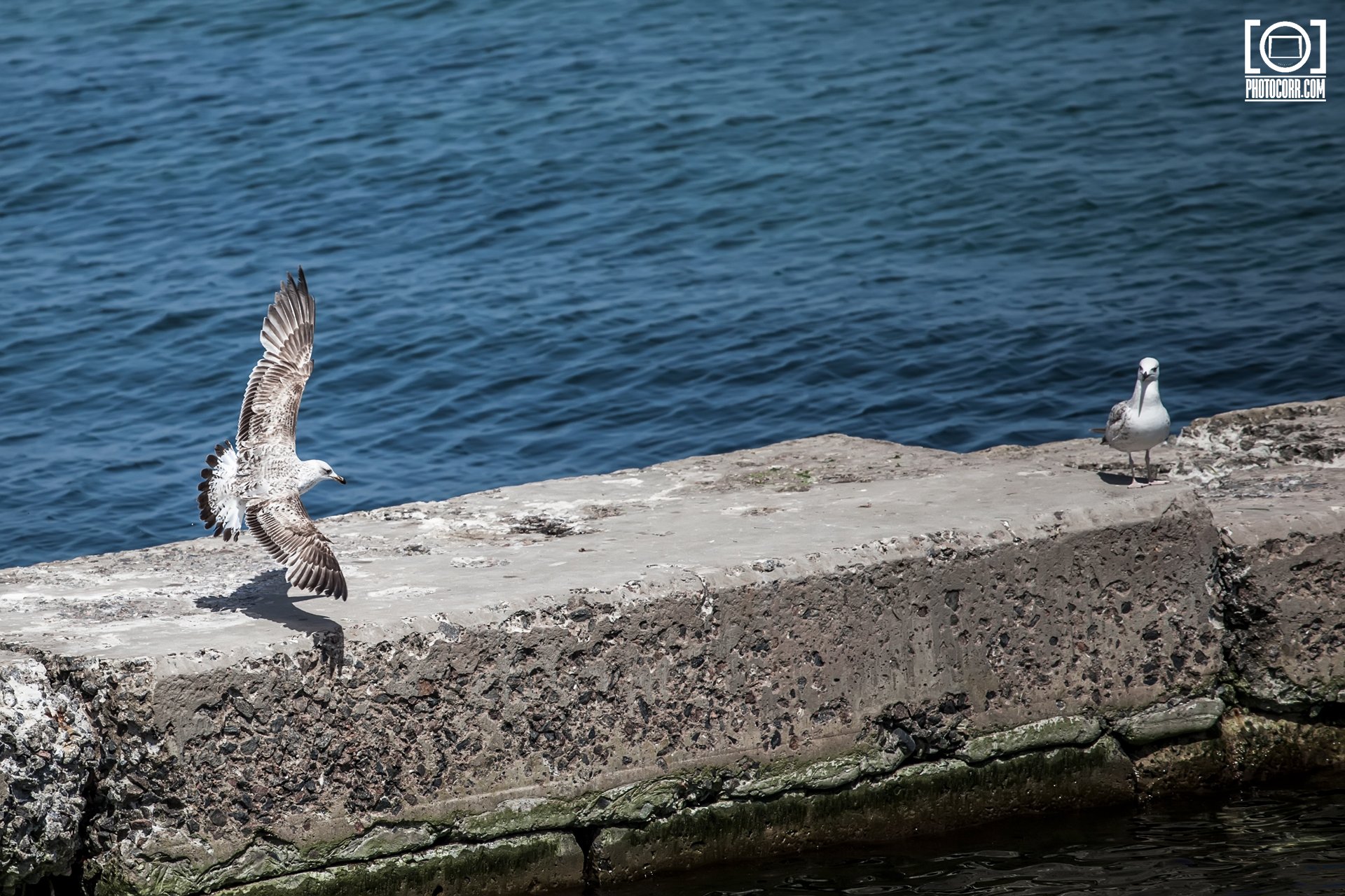 Trip to Odessa — photograph 5